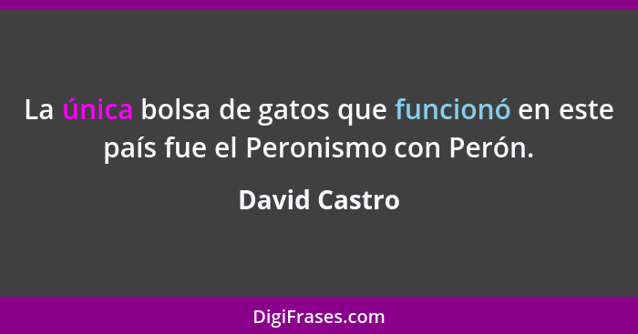 La única bolsa de gatos que funcionó en este país fue el Peronismo con Perón.... - David Castro