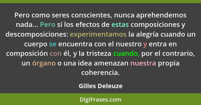 Pero como seres conscientes, nunca aprehendemos nada... Pero sí los efectos de estas composiciones y descomposiciones: experimentamos... - Gilles Deleuze