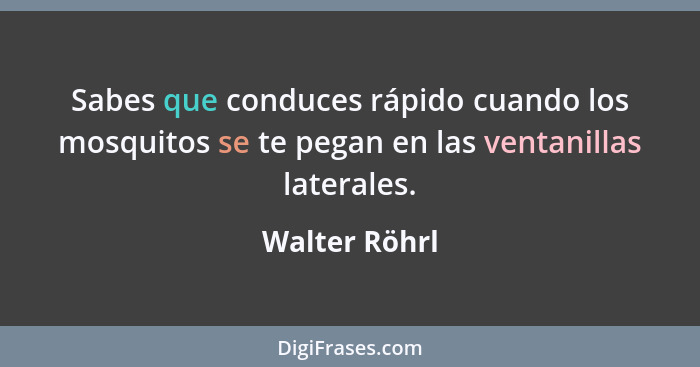 Sabes que conduces rápido cuando los mosquitos se te pegan en las ventanillas laterales.... - Walter Röhrl