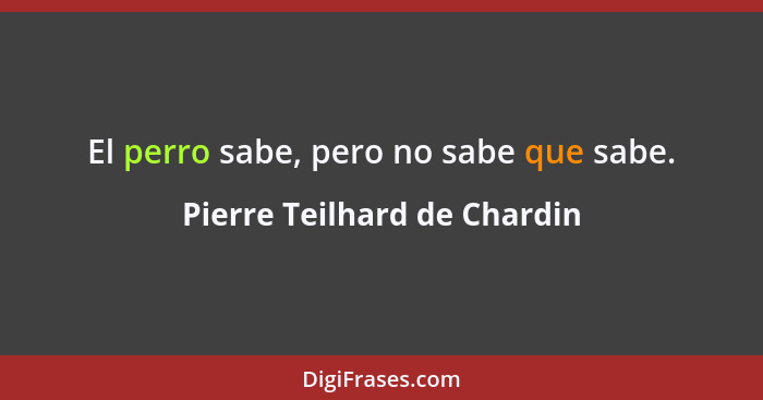 El perro sabe, pero no sabe que sabe.... - Pierre Teilhard de Chardin