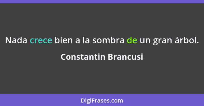 Nada crece bien a la sombra de un gran árbol.... - Constantin Brancusi